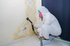 Why You Should Choose Our Mold Remediation Services in Cadiz, KY